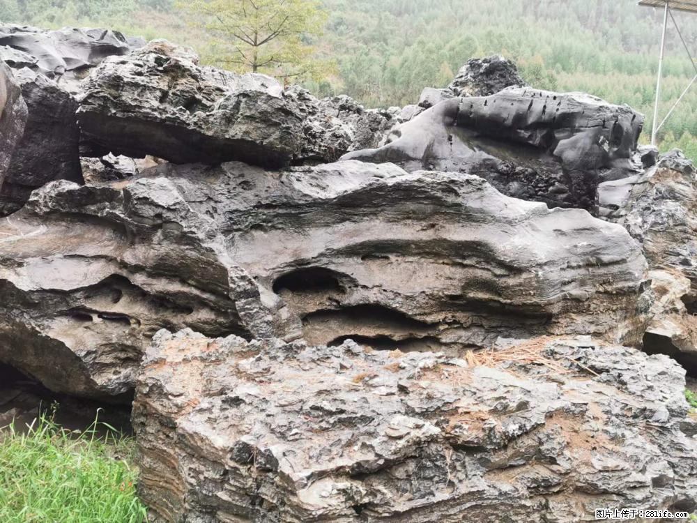 风景石、假山石大量有货，有需要的欢迎联系 - 新手上路 - 安庆生活社区 - 安庆28生活网 anqing.28life.net