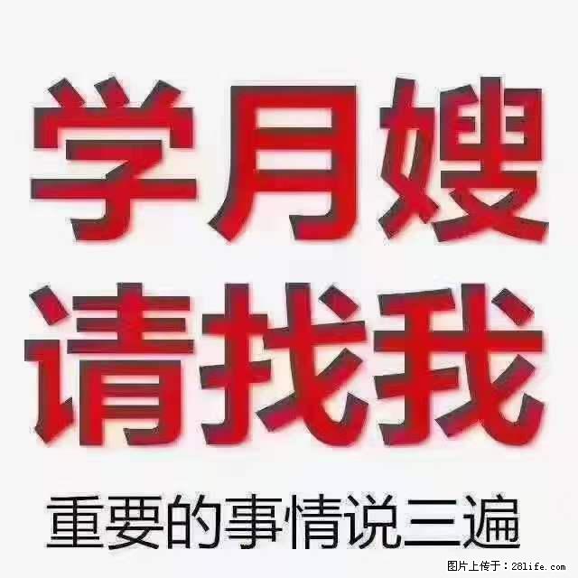 为什么要学习月嫂，育婴师？ - 新手上路 - 安庆生活社区 - 安庆28生活网 anqing.28life.net