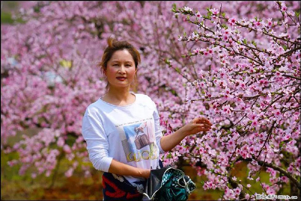 【春天，广西桂林灌阳县向您发出邀请！】官庄村有个醉美的桃花园 - 游山玩水 - 安庆生活社区 - 安庆28生活网 anqing.28life.net