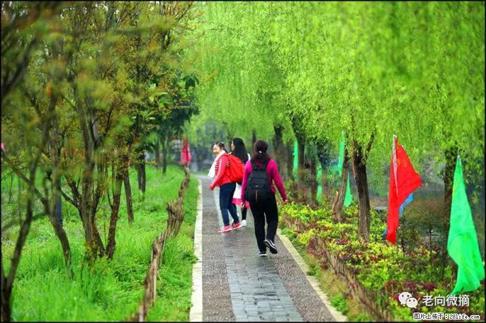 【春天，广西桂林灌阳县向您发出邀请！】江口老街又逢春 - 游山玩水 - 安庆生活社区 - 安庆28生活网 anqing.28life.net
