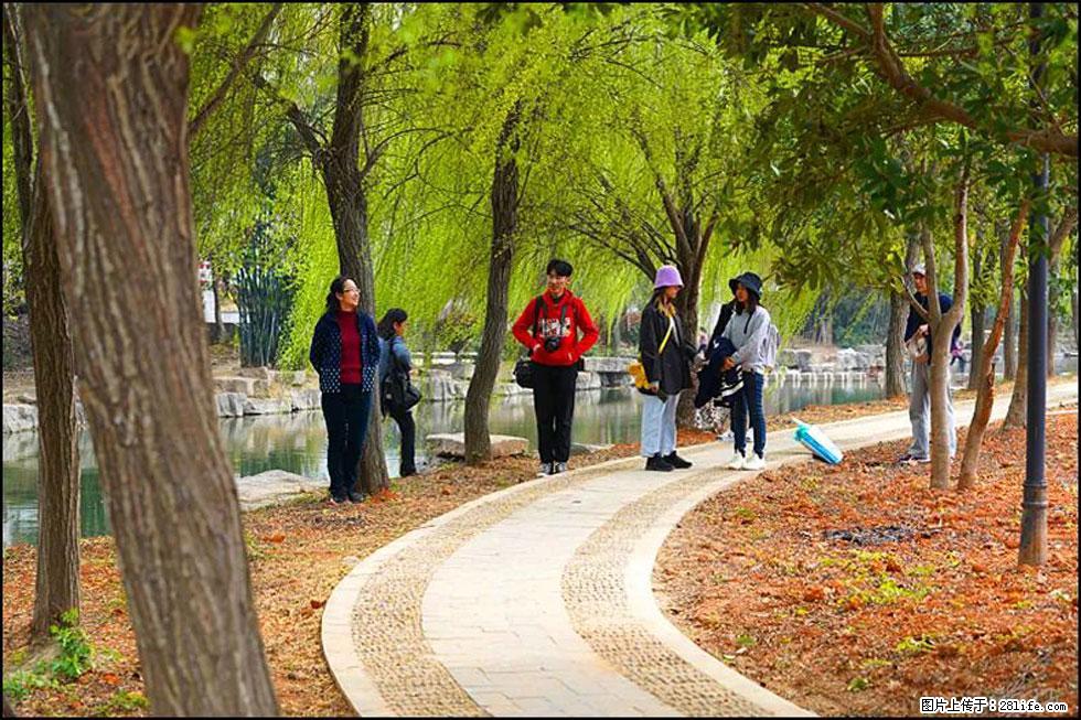 【春天，广西桂林灌阳县向您发出邀请！】江口老街又逢春 - 游山玩水 - 安庆生活社区 - 安庆28生活网 anqing.28life.net