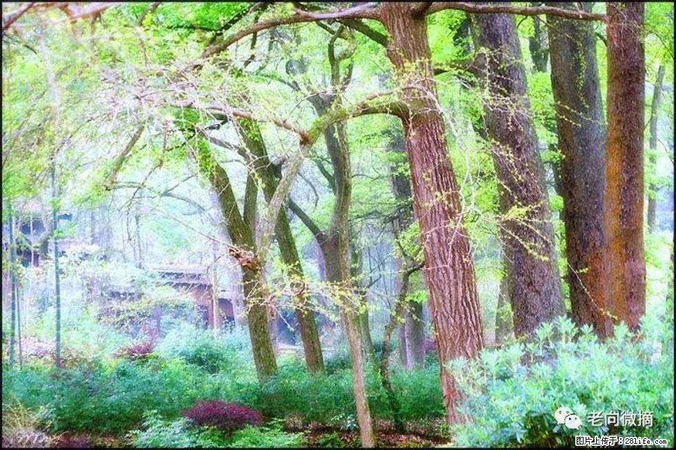 【春天，广西桂林灌阳县向您发出邀请！】在小龙村与春天约会 - 游山玩水 - 安庆生活社区 - 安庆28生活网 anqing.28life.net