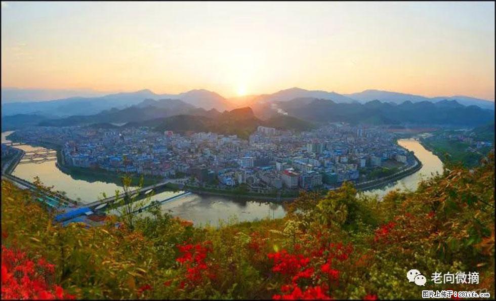 【春天,广西桂林灌阳县向您发出邀请!】登麒麟山,相约映山红 - 游山玩水 - 安庆生活社区 - 安庆28生活网 anqing.28life.net