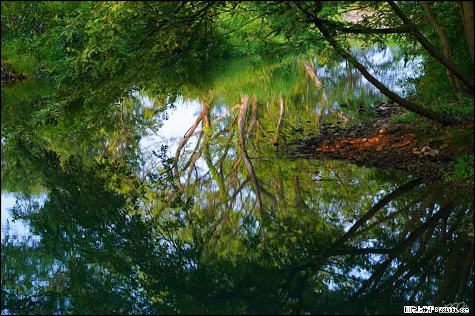 【春天，广西桂林灌阳县向您发出邀请！】熊家寨湿地公园 - 游山玩水 - 安庆生活社区 - 安庆28生活网 anqing.28life.net
