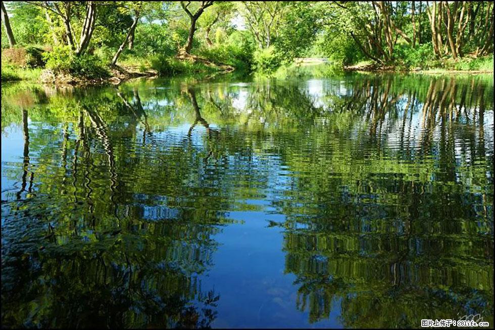 【春天，广西桂林灌阳县向您发出邀请！】熊家寨湿地公园 - 游山玩水 - 安庆生活社区 - 安庆28生活网 anqing.28life.net
