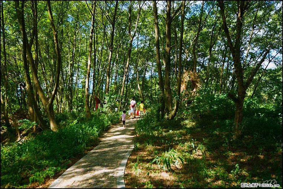 【春天，广西桂林灌阳县向您发出邀请！】熊家寨湿地公园 - 游山玩水 - 安庆生活社区 - 安庆28生活网 anqing.28life.net