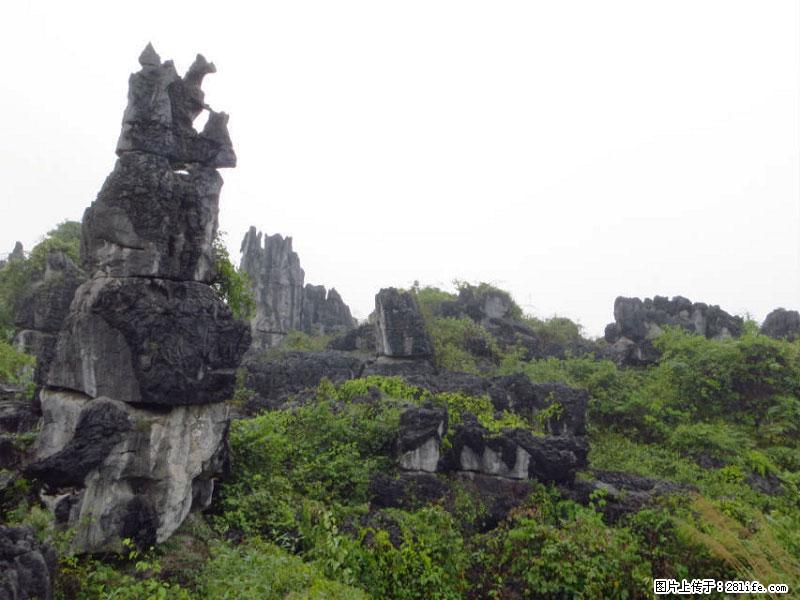 桂林旅游名城景点：灌阳文市石林 - 游山玩水 - 安庆生活社区 - 安庆28生活网 anqing.28life.net