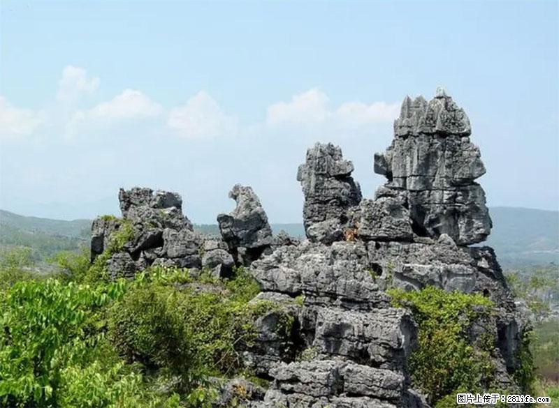 桂林旅游名城景点：灌阳文市石林 - 游山玩水 - 安庆生活社区 - 安庆28生活网 anqing.28life.net