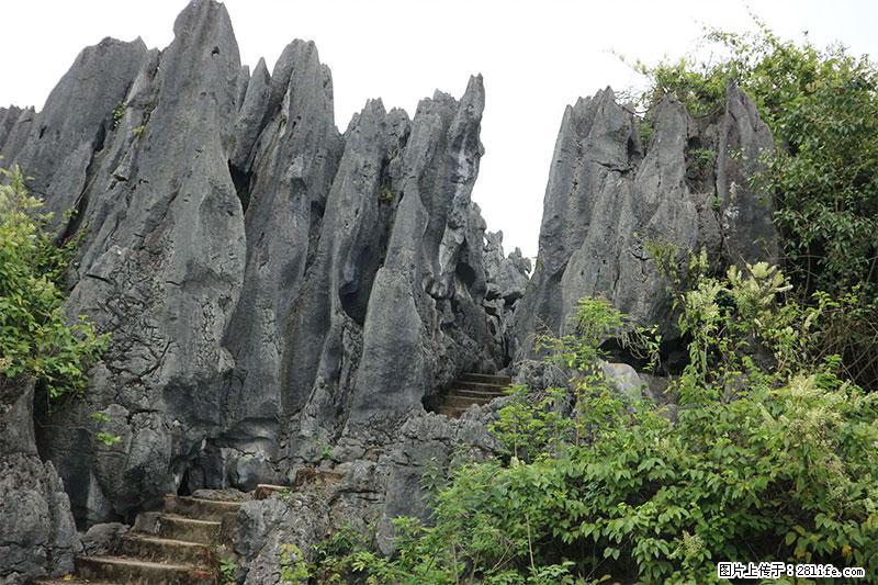 桂林旅游名城景点：灌阳文市石林 - 游山玩水 - 安庆生活社区 - 安庆28生活网 anqing.28life.net
