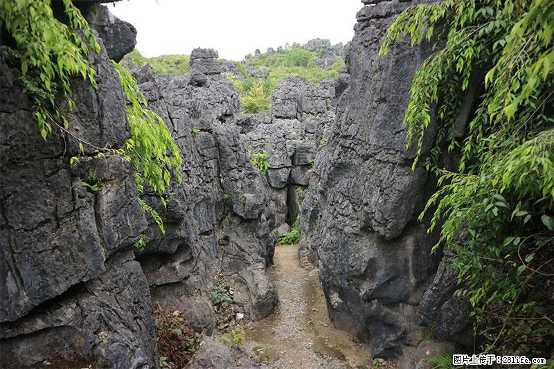 桂林旅游名城景点：灌阳文市石林 - 游山玩水 - 安庆生活社区 - 安庆28生活网 anqing.28life.net