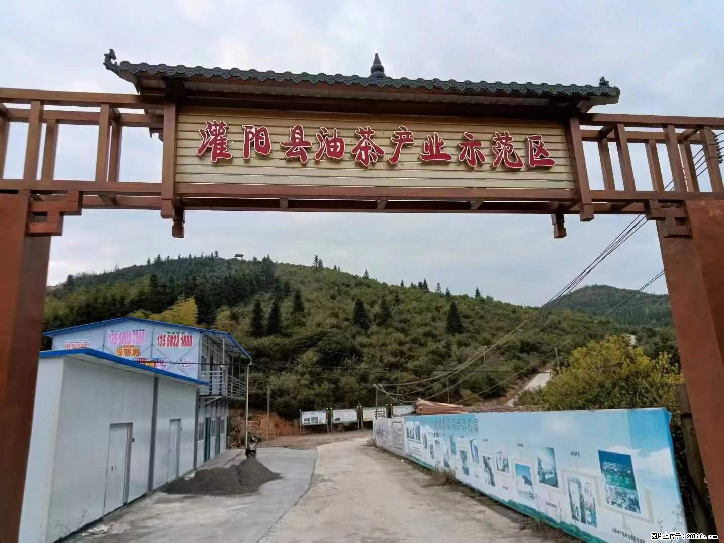 【灌阳县油茶产业示范区】一个有着充实的精神生活的人，对待身外之物自会有一种淡泊的态度 - 土特产 - 饮食特产 - 安庆分类信息 - 安庆28生活网 anqing.28life.net