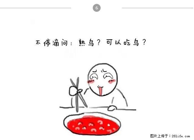 千万不要和这9种哈卵一起吃火锅！ - 美食天地 - 安庆生活社区 - 安庆28生活网 anqing.28life.net