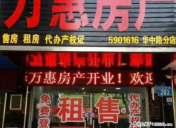 华中路派出所 2室1厅1卫精装修 - 房屋出租 - 房屋租售 - 安庆分类信息 - 安庆28生活网 anqing.28life.net
