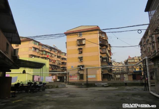 大观商城二期 玉琳路 精装修 家具家电齐全 拎包入住 - 房屋出租 - 房屋租售 - 安庆分类信息 - 安庆28生活网 anqing.28life.net