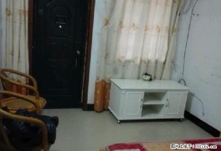 迎江区枞阳门 1室1厅 40平米 中等装修 年付 - 安庆28生活网 anqing.28life.net