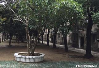 湖滨新村小区房4楼、2室1厅、简单装修 - 安庆28生活网 anqing.28life.net