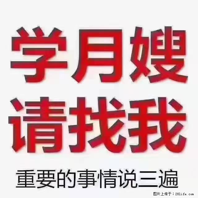 【招聘】月嫂，上海徐汇区 - 职场交流 - 安庆生活社区 - 安庆28生活网 anqing.28life.net