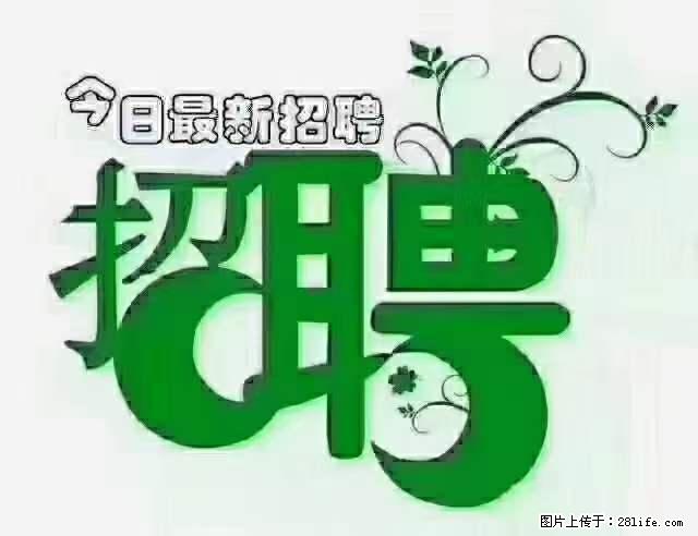 上海隔离酒店招人：55岁以下 男女不限 - 职场交流 - 安庆生活社区 - 安庆28生活网 anqing.28life.net