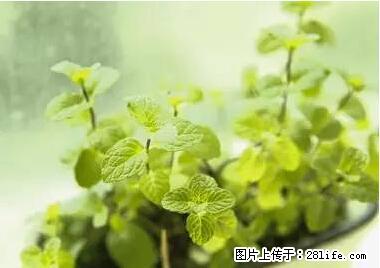 晕车、脚气、牙齿变黄、皮肤粗糙？学会这些三分钟搞定！ - 安庆生活资讯 - 安庆28生活网 anqing.28life.net