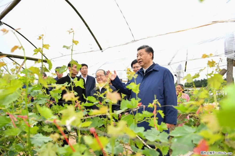 习近平赴广西考察调研 - 安庆生活资讯 - 安庆28生活网 anqing.28life.net