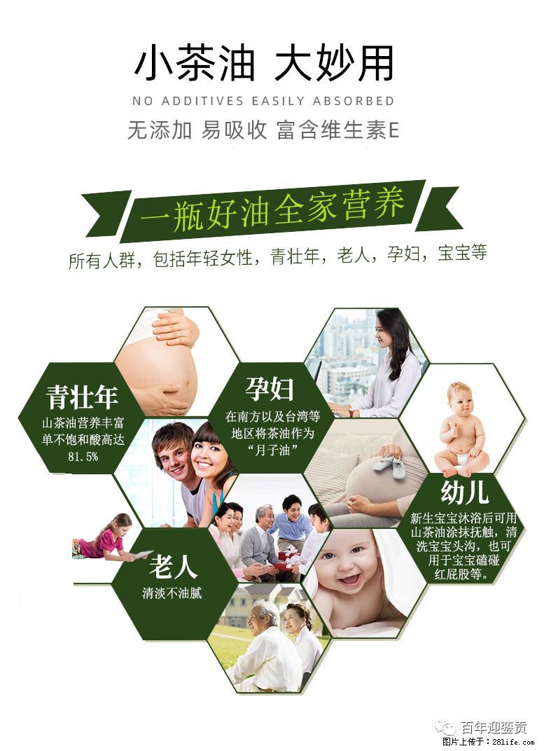世界没有真相，只有认知，最好的食用油是中国的山茶油！ - 安庆生活资讯 - 安庆28生活网 anqing.28life.net