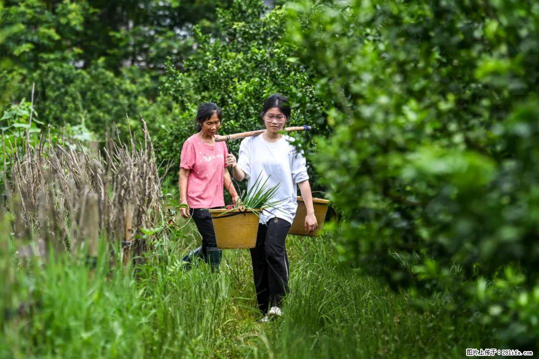 全网追的“扁担女孩”，找了一份暑假工，时薪12元 - 安庆生活资讯 - 安庆28生活网 anqing.28life.net