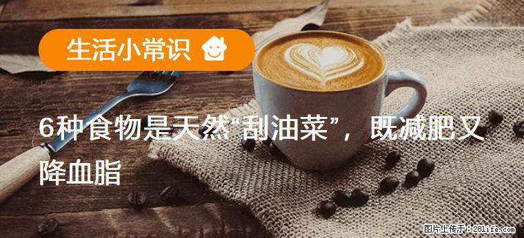 【生活小常识】6种食物是天然“刮油菜”，既减肥又降血脂 - 安庆生活资讯 - 安庆28生活网 anqing.28life.net