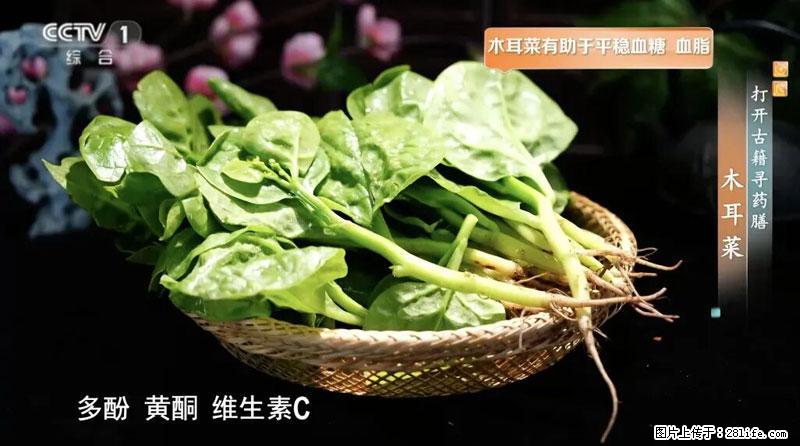 比牛奶补钙还厉害！凉血解毒、稳血糖...这菜冬天必吃，很多人却当草 - 安庆生活资讯 - 安庆28生活网 anqing.28life.net